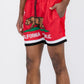 California CA Bear Swim Trunks Board Shorts