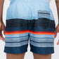 Blue stripes Swim Trunks Board Shorts